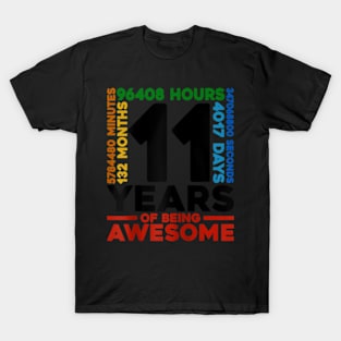 11 Years 132 Months Of Being Awesome 11th Birthday T-Shirt